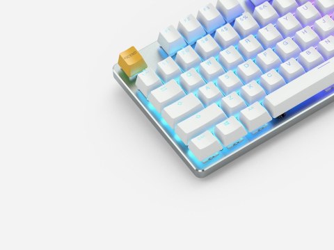 Glorious PC Gaming Race GMMK klawiatura USB QWERTY Amerykański międzynarodowy Srebrny, Biały Glorious PC Gaming Race GMMK klawiatura USB QWERTY Amerykański międzynarodowy Srebrny, Biały