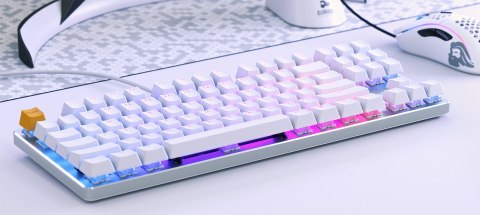 Glorious PC Gaming Race GMMK klawiatura USB QWERTY Amerykański międzynarodowy Srebrny, Biały Glorious PC Gaming Race GMMK klawiatura USB QWERTY Amerykański międzynarodowy Srebrny, Biały
