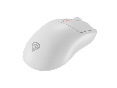 GENESIS Zircon 500 myszka Gaming Po prawej stronie RF Wireless + Bluetooth + USB Type-C Optyczny 10000 DPI GENESIS Zircon 500 myszka Gaming Po prawej stronie RF Wireless + Bluetooth + USB Type-C Optyczny 10000 DPI