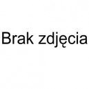 KAMERA SIECIOWA IP KOPUŁKOWA WANDALOODPORNA PoE