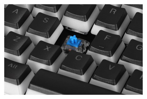 KLAWIATURA GAMINGOWA ENDORFY OMNIS PUD KAILH BL RGB KLAWIATURA GAMINGOWA ENDORFY OMNIS PUD KAILH BL RGB