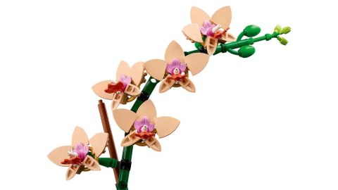 LEGO ICONS 10343 Botanicals - Mała orchidea LEGO ICONS 10343 Botanicals - Mała orchidea
