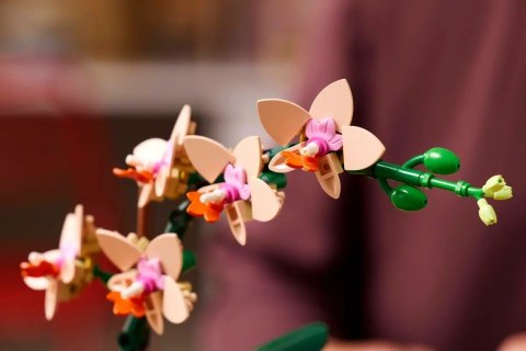 LEGO ICONS 10343 Botanicals - Mała orchidea LEGO ICONS 10343 Botanicals - Mała orchidea