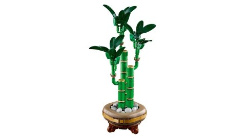 LEGO ICONS 10344 Botanicals - Dracena sandera LEGO ICONS 10344 Botanicals - Dracena sandera