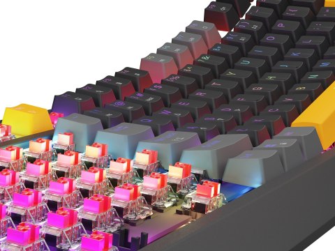 GENESIS Thor 230 TKL klawiatura Gaming USB + RF Wireless + Bluetooth QWERTY Czarny, Szary, Pomarańczowy GENESIS Thor 230 TKL klawiatura Gaming USB + RF Wireless + Bluetooth QWERTY Czarny, Szary, Pomarańczowy