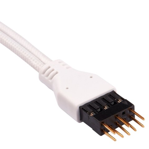 Wewnętrzny kabel zasilający Corsair CC-8900245 0,3 m Wewnętrzny kabel zasilający Corsair CC-8900245 0,3 m