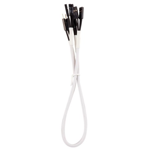 Wewnętrzny kabel zasilający Corsair CC-8900245 0,3 m Wewnętrzny kabel zasilający Corsair CC-8900245 0,3 m