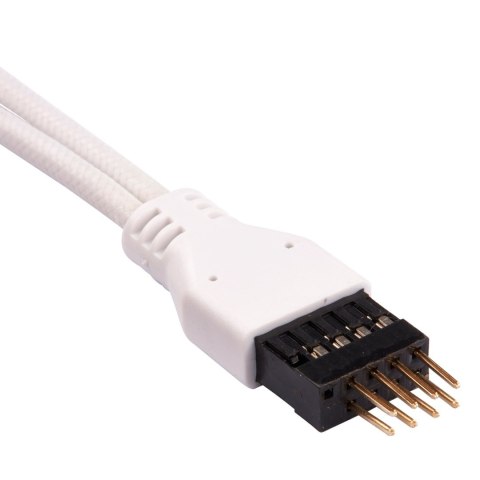 Wewnętrzny kabel zasilający Corsair CC-8900245 0,3 m Wewnętrzny kabel zasilający Corsair CC-8900245 0,3 m