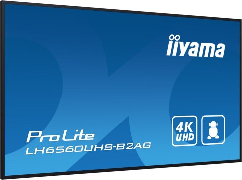 Monitor Iiyama 65 LH6560UHS-B2AG z HDMI i USB Monitor Iiyama 65 LH6560UHS-B2AG z HDMI i USB
