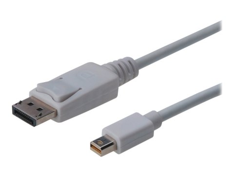ASSMANN AK-340102-010-W 1m /s1x DisplayPort 1x Mini DisplayPort ASSMANN AK-340102-010-W 1m /s1x DisplayPort 1x Mini DisplayPort