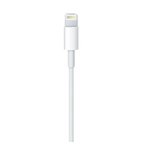 Apple Lightning to USB Cable (1m)