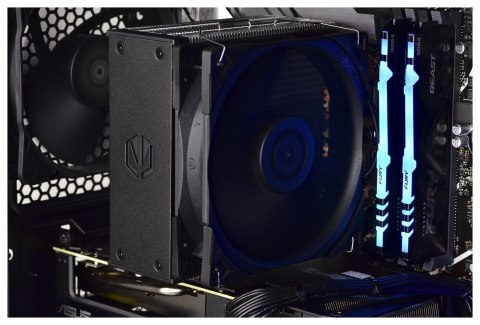 Actina PBA 5500/16GB/1TB/RX6600/600W Actina PBA 5500/16GB/1TB/RX6600/600W