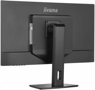 Monitor IIYAMA XB3270QS-B5 (32" /TFT IPS /2560 x 1440 /Czarny)